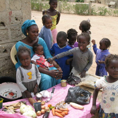 Maternity Clinic Fundraiser for the Rural Village of Sassène, Senegal (5)